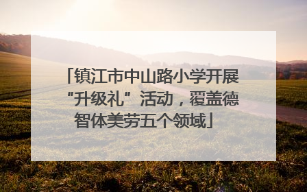 镇江市中山路小学开展“升级礼”活动，覆盖德智体美劳五个领域