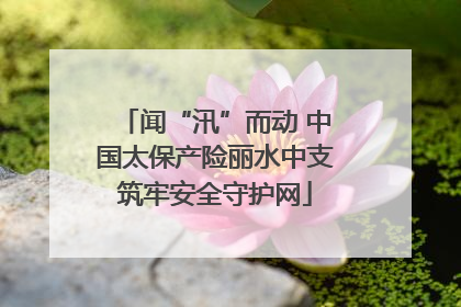 闻“汛”而动 中国太保产险丽水中支筑牢安全守护网