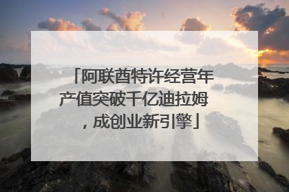 阿联酋特许经营年产值突破千亿迪拉姆，成创业新引擎