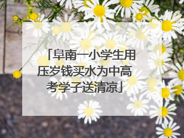 阜南一小学生用压岁钱买水为中高考学子送清凉