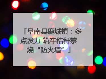 阜南县鹿城镇：多点发力 筑牢秸秆禁烧“防火墙”