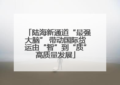 陆海新通道“最强大脑” 带动国际货运由“智”到“质”高质量发展
