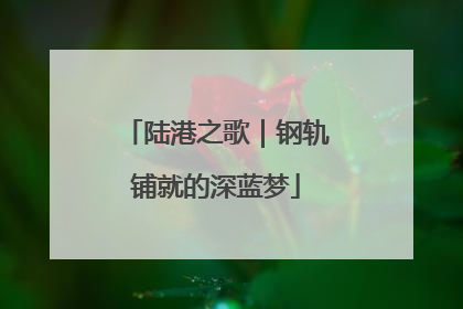 陆港之歌｜钢轨铺就的深蓝梦