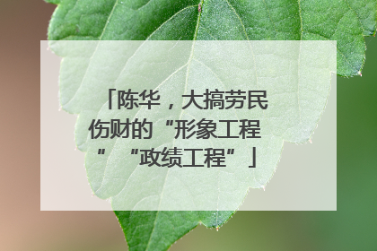 陈华，大搞劳民伤财的“形象工程”“政绩工程”