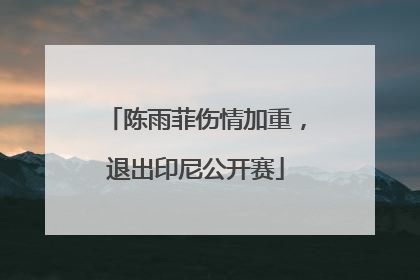 陈雨菲伤情加重，退出印尼公开赛