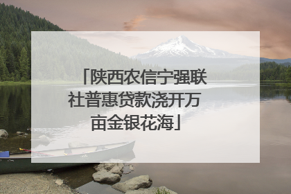 陕西农信宁强联社普惠贷款浇开万亩金银花海