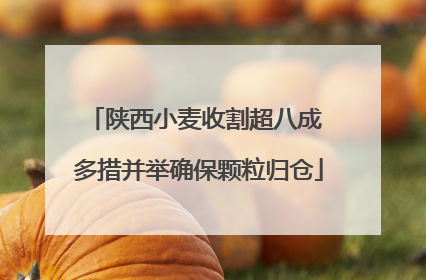 陕西小麦收割超八成 多措并举确保颗粒归仓