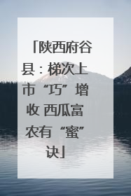 陕西府谷县：梯次上市“巧”增收 西瓜富农有“蜜”诀