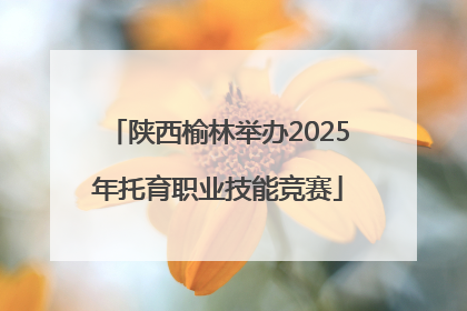陕西榆林举办2025年托育职业技能竞赛