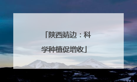 陕西靖边：科学种植促增收