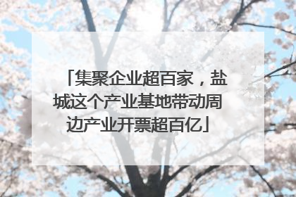 集聚企业超百家，盐城这个产业基地带动周边产业开票超百亿