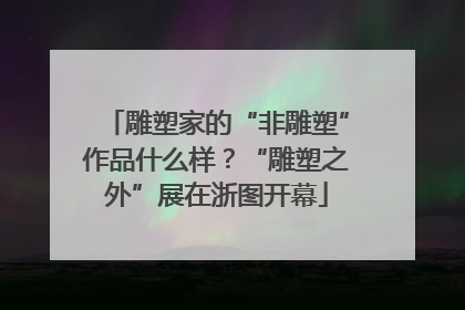 雕塑家的“非雕塑”作品什么样？“雕塑之外”展在浙图开幕