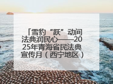 雪豹“跃”动间 法典润民心——2025年青海省民法典宣传月(西宁地区)主场活动见闻