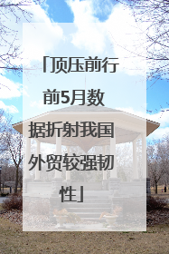 顶压前行 前5月数据折射我国外贸较强韧性