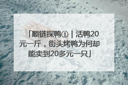 顺链探鸭①｜活鸭20元一斤，街头烤鸭为何却能卖到20多元一只