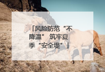 风险防范“不降温” 筑牢夏季“安全堤”