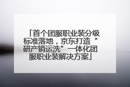 首个团服职业装分级标准落地，京东打造“研产销运洗”一体化团服职业装解决方案