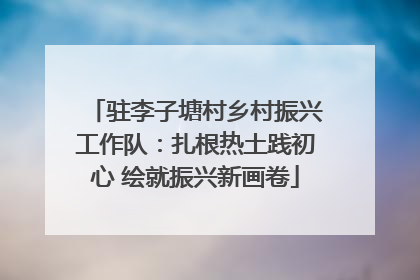 驻李子塘村乡村振兴工作队：扎根热土践初心 绘就振兴新画卷