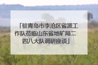驻青岛市李沧区省派工作队莅临山东省地矿局二四八大队调研座谈