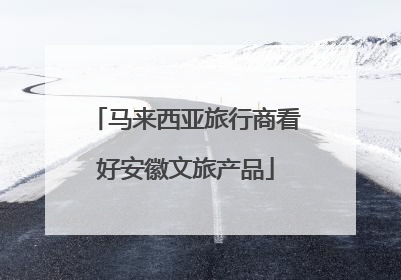 马来西亚旅行商看好安徽文旅产品