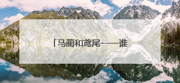 马蔺和鸢尾——谁是童谣中的马兰花