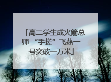 高二学生成火箭总师 “手搓”飞燕一号突破一万米