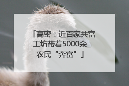 高密：近百家共富工坊带着5000余农民“奔富”