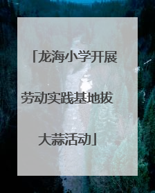 龙海小学开展劳动实践基地拔大蒜活动