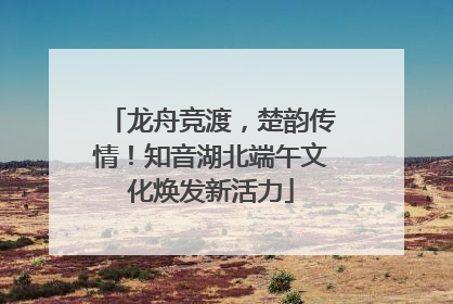 龙舟竞渡，楚韵传情！知音湖北端午文化焕发新活力
