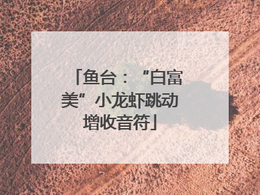鱼台：“白富美”小龙虾跳动增收音符