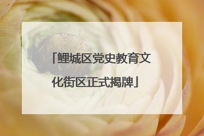 鲤城区党史教育文化街区正式揭牌