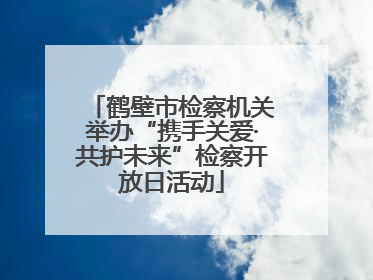 鹤壁市检察机关举办“携手关爱·共护未来”检察开放日活动