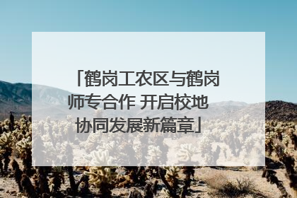 鹤岗工农区与鹤岗师专合作 开启校地协同发展新篇章