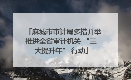 麻城市审计局多措并举推进全省审计机关 “三大提升年” 行动