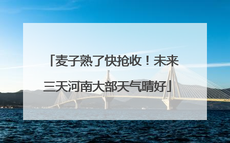 麦子熟了快抢收！未来三天河南大部天气晴好
