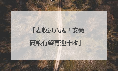 麦收过八成！安徽夏粮有望再迎丰收