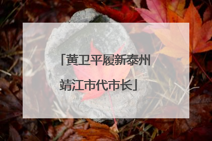 黄卫平履新泰州靖江市代市长