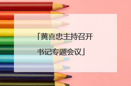 黄喜忠主持召开书记专题会议