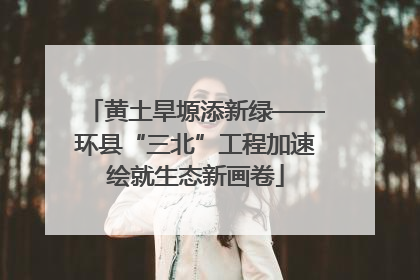 黄土旱塬添新绿——环县“三北”工程加速绘就生态新画卷