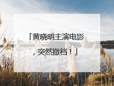 黄晓明主演电影，突然撤档！