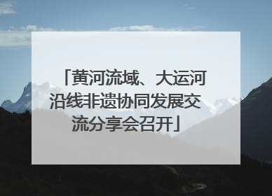 黄河流域、大运河沿线非遗协同发展交流分享会召开