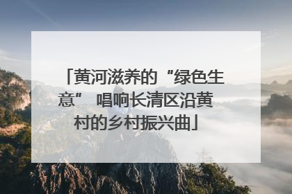 黄河滋养的“绿色生意” 唱响长清区沿黄村的乡村振兴曲