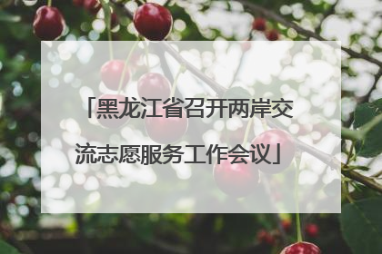 黑龙江省召开两岸交流志愿服务工作会议