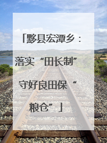 黟县宏潭乡：落实“田长制” 守好良田保“粮仓”