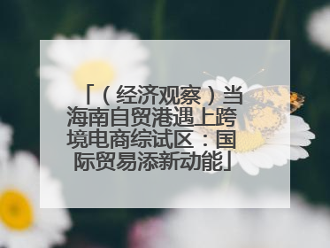 （经济观察）当海南自贸港遇上跨境电商综试区：国际贸易添新动能