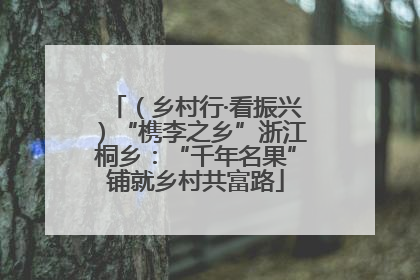 （乡村行·看振兴）“槜李之乡”浙江桐乡：“千年名果”铺就乡村共富路