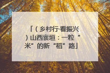 （乡村行·看振兴）山西襄垣：一粒“米”的新“稻”路