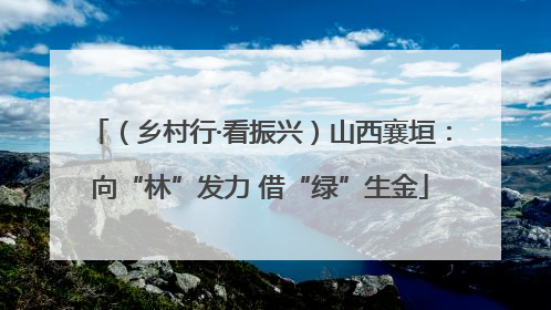 （乡村行·看振兴）山西襄垣：向“林”发力 借“绿”生金