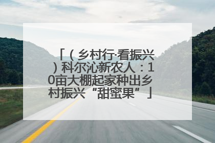 （乡村行·看振兴）科尔沁新农人：10亩大棚起家种出乡村振兴“甜蜜果”