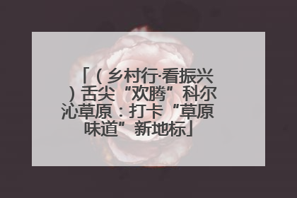 （乡村行·看振兴）舌尖“欢腾”科尔沁草原：打卡“草原味道”新地标